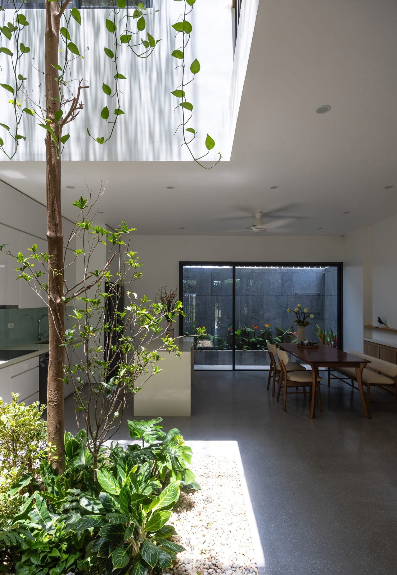 Dining table beside the planted court and kitchen island