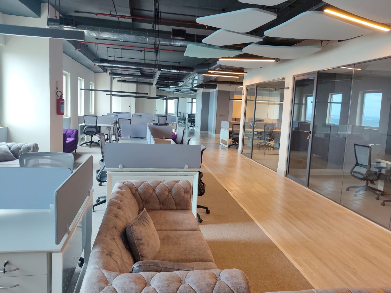 Workstation bays beside glass meeting rooms with a timber circulation spine