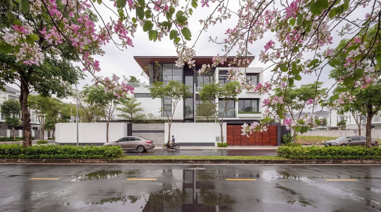Elevation framed by flowering trees across a rain-washed street