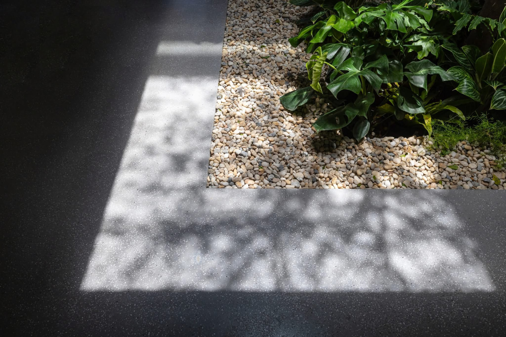 Dappled light across the pebble court floor