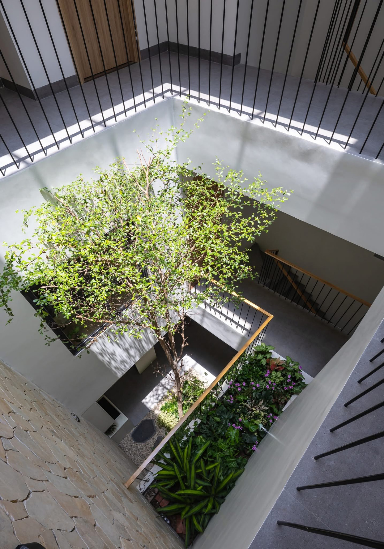 Looking down into the planted courtyard tree from the upper landing