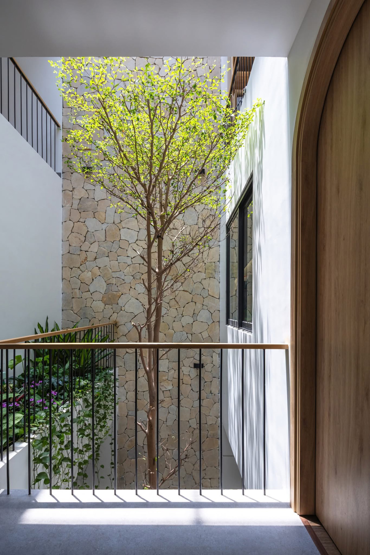 Courtyard tree rising against the rubble stone wall